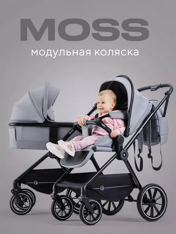 Коляска 2 в 1 Rant Moss Classic grey